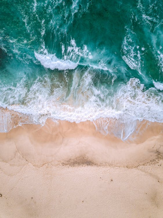 Florianópolis com Crianças: 15 Programas Imperdíveis para Férias em Família