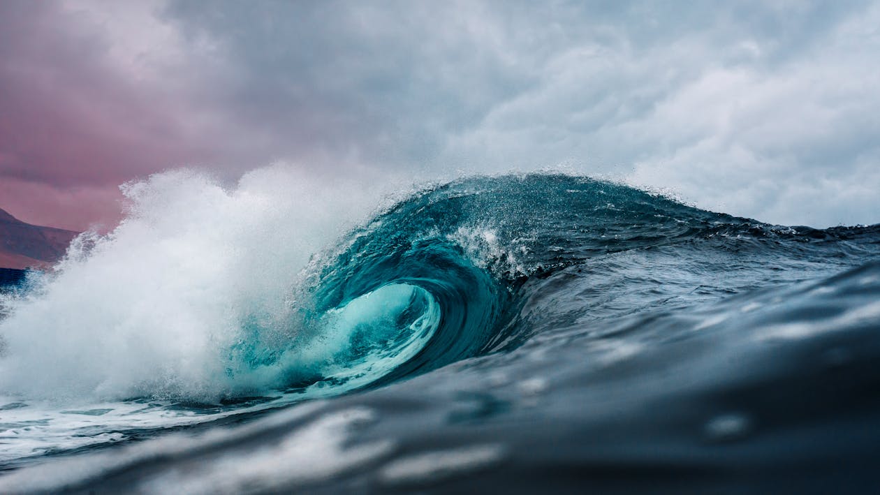 Surfista caminhando em direção ao mar ao amanhecer com prancha debaixo do braço